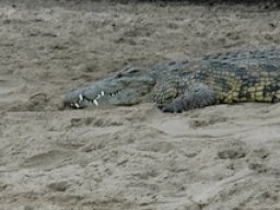 Western_Corridor_(Kirawira)2003-101